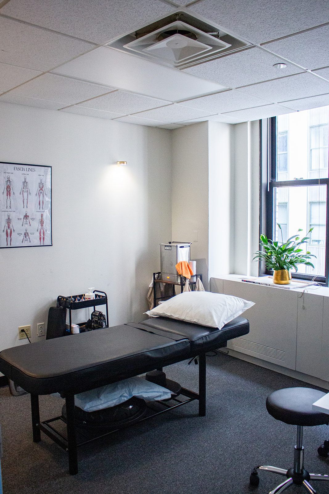 New York clinic treatment room with anatomy chart